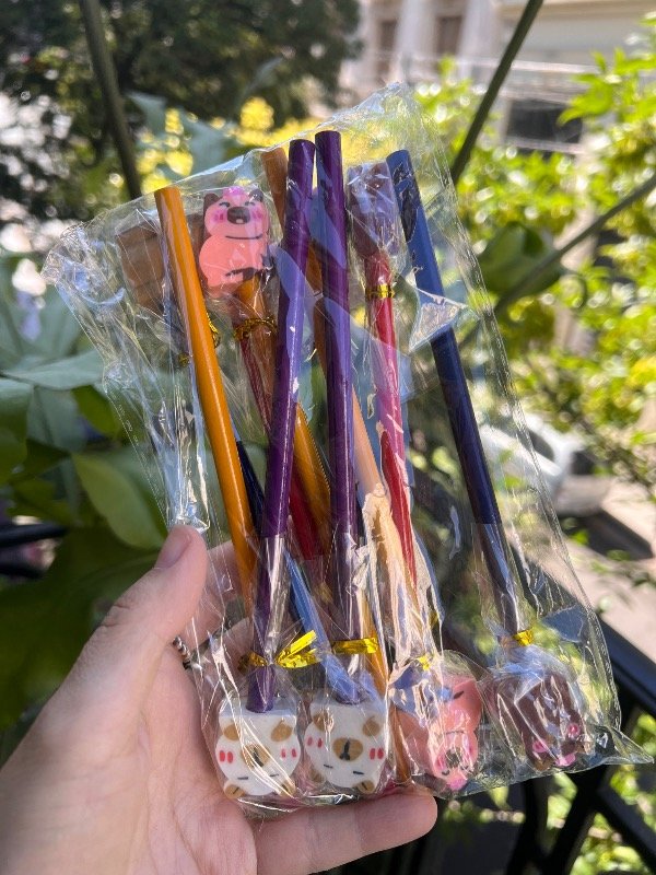 Producto - 10 lapices con goma capibara