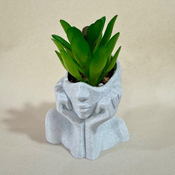 Producto - Planta minita