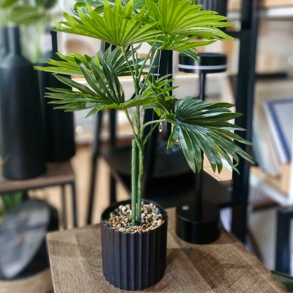 Producto - Planta Con Maceta 1203464