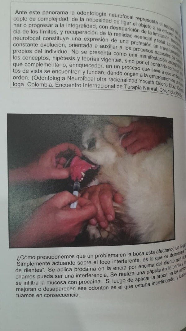 Producto - Castro: Bases para la Terapia Neural en Caninos y Felinos - 11
