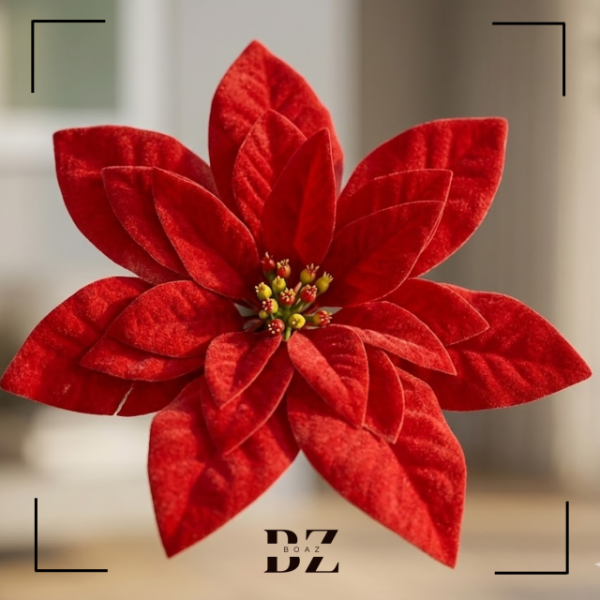 Producto - RAMO FLOR ESTRELLA FEDERAL X 5 PIMPOLLOS 46 CM ALTO 1378-1