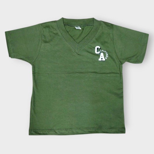 Producto - Remera varon cuello V verde T6 14