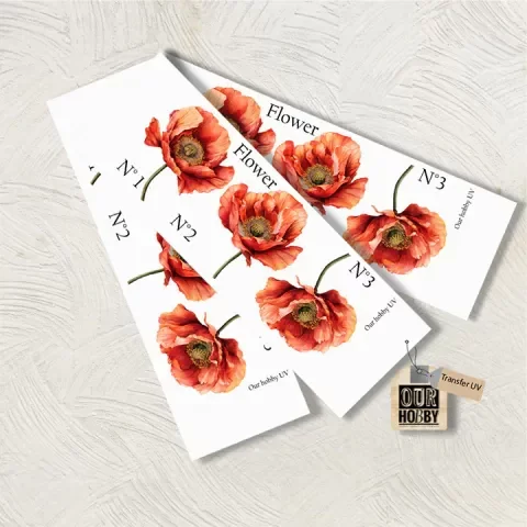 Producto - TRANSFER UV 087