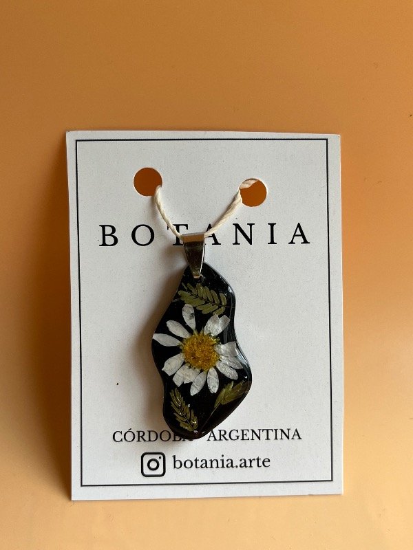 Producto - Margarita 5