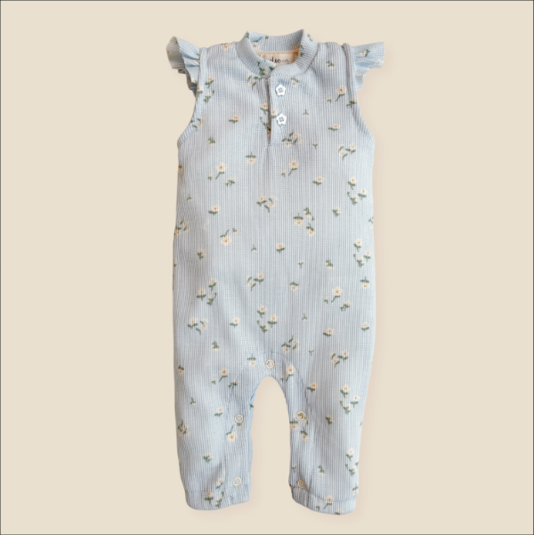 Producto - Enterito Ana 03