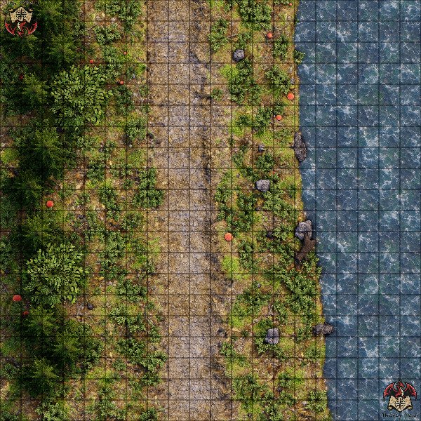 Producto - Camino en el bosque 5