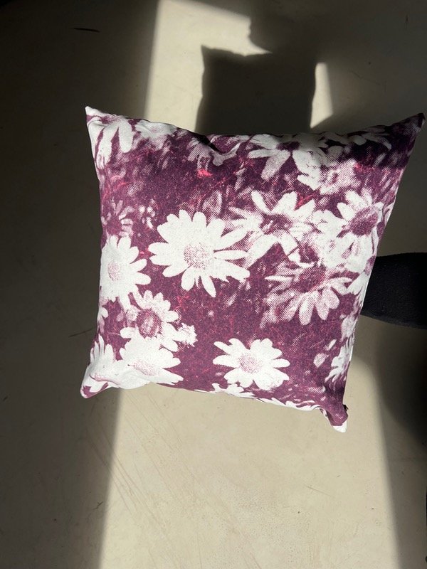 Producto - Almohadón Margaritas Rosa y negro