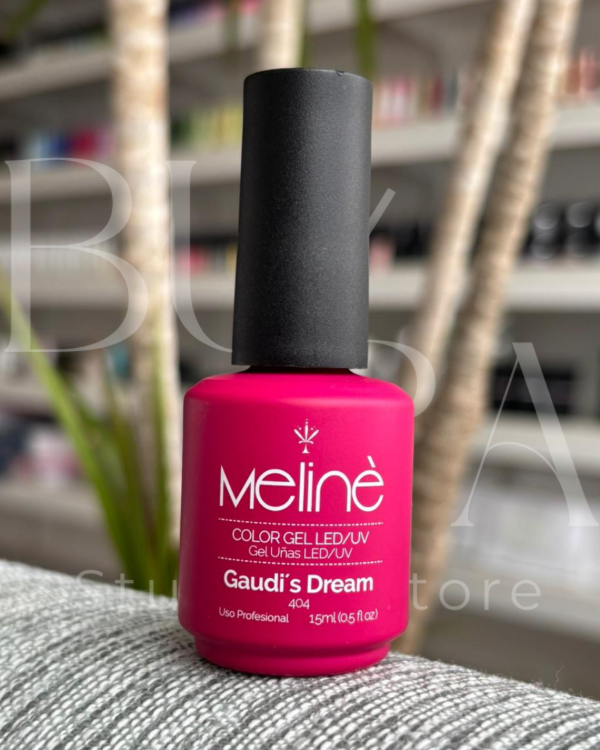 Producto - GAUDIS DREAM #404