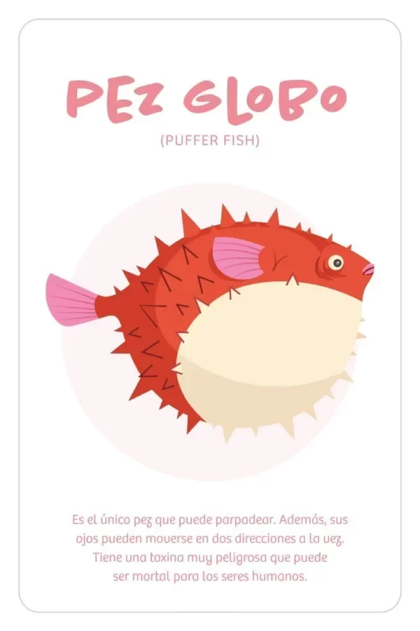 Producto - Cartas de adivinanzas: quién es - Oso Pardo - 5