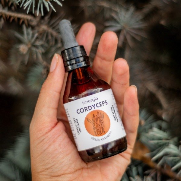 Producto - CORDYCEPS - Doble Extracto