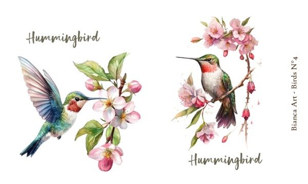 Producto - Birds N4