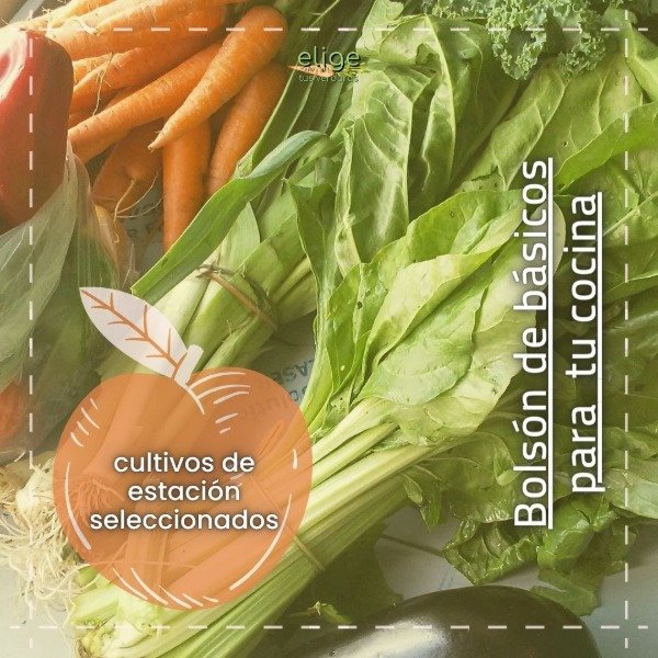 Producto - Bolsón básicos