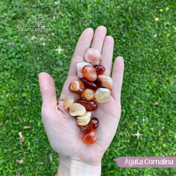 Producto - Ágata cornalina rolada
