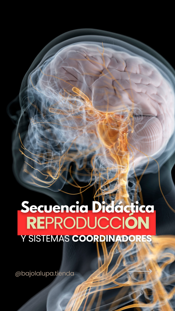 Producto - Secuencia didáctica Reproducción y Sistemas Coordinadores 6