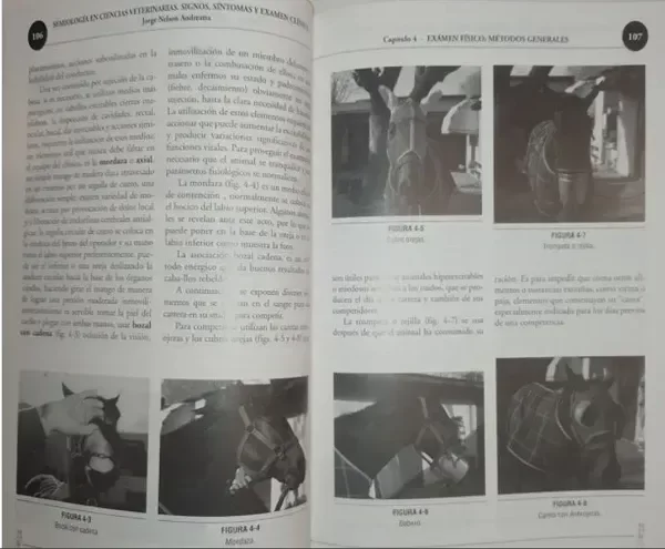 Producto - Andreatta: Semiología en Ciencias Veterinarias - 5
