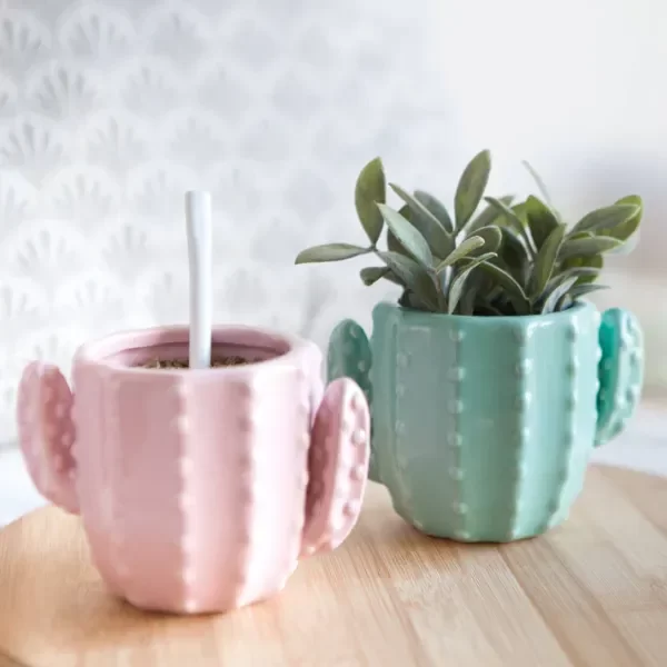 Producto - Mate/maceta cactus