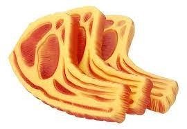 Producto - Juguete Chuleta con chifle