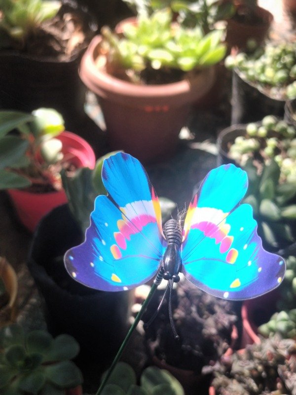 Producto - Tutor Mariposa - 0
