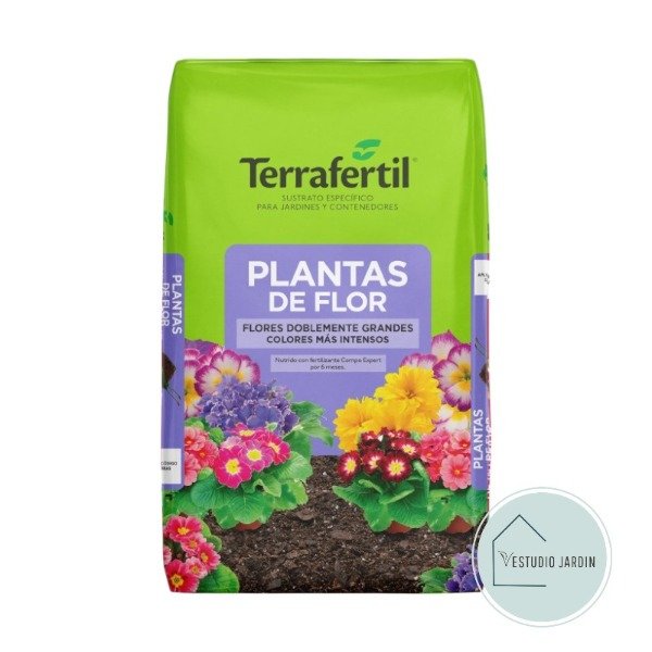 Producto - Plantas de Flor - Terra Fértil