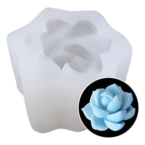 Producto - Suculenta 6cm