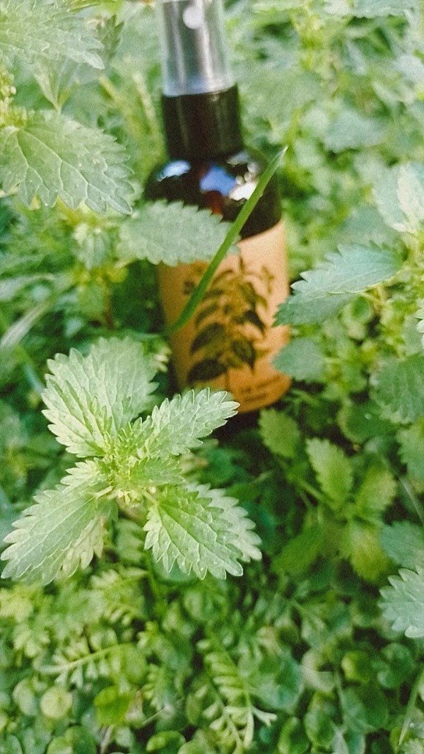 Producto - Hidrolato de Ortiga