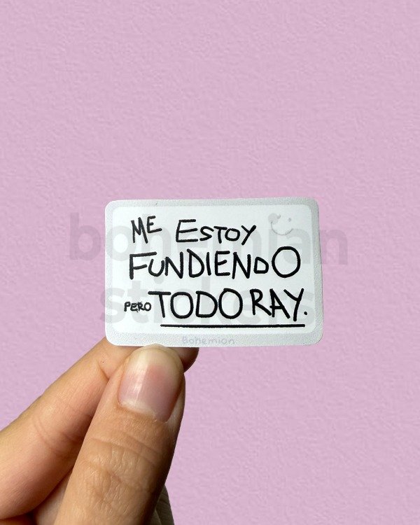 Producto - ME ESTOY FUNDIENDO PERO TODO RAY - Sticker Individual de Catriel y Paco