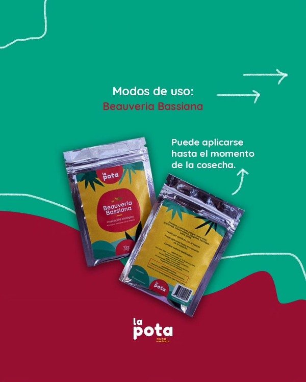 Producto - Bioinsecticida Beauveria Bassiana La Pota x 20 gramos - 4