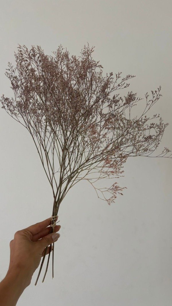 Producto - Limonium seco