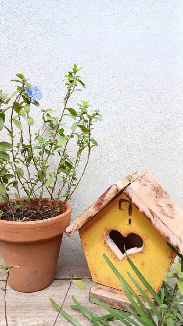 Producto - Casita nido " durazno" ( CPM OO2)