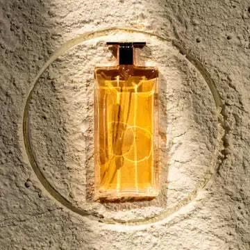 Producto - PERFUMES BAGUES REINE HOMENAJE X 75 ML EDP