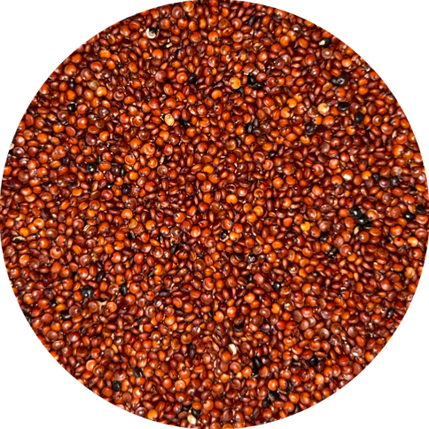 Producto - Quinoa Roja 500gr / 1k