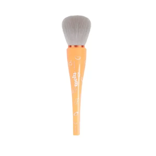 Producto - BROCHA PO MELU