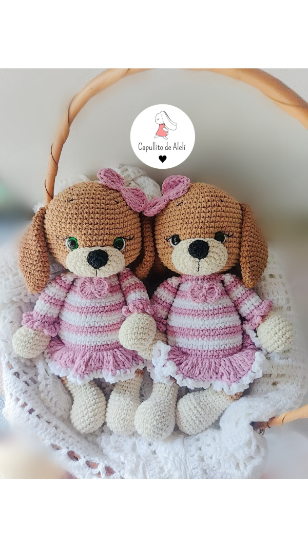 Producto - Perrita Jazmín