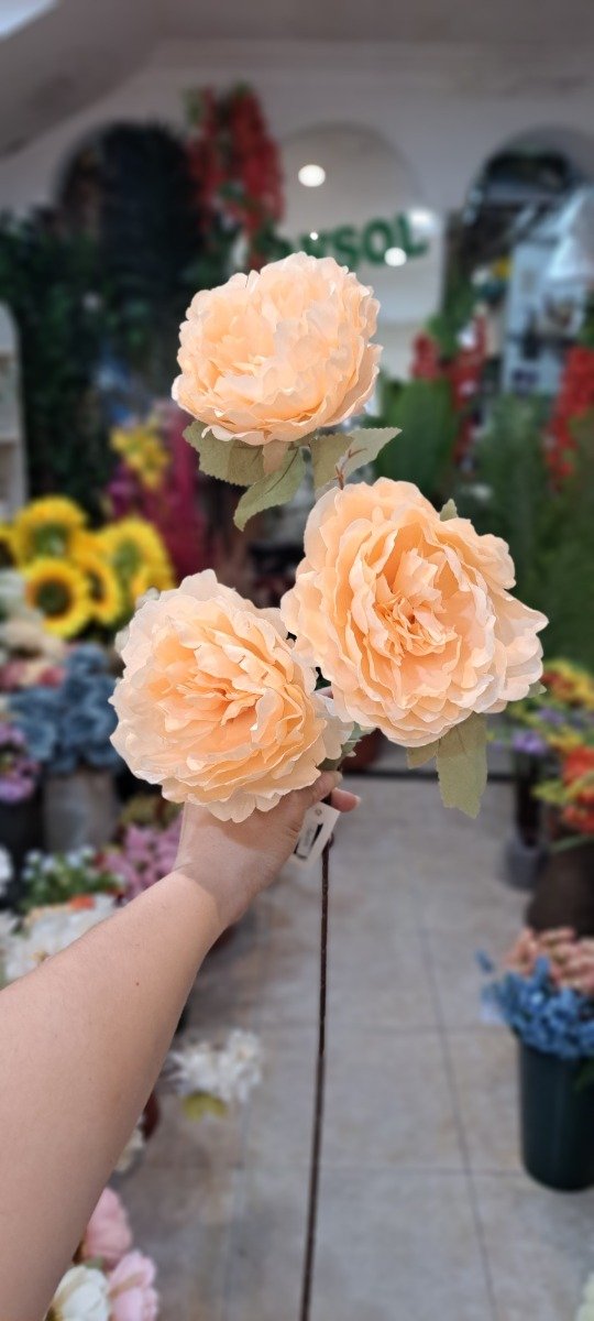 Producto - VARA DE PEONIAS X 3