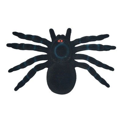 Producto - Tarantula gigante (17x10,5)