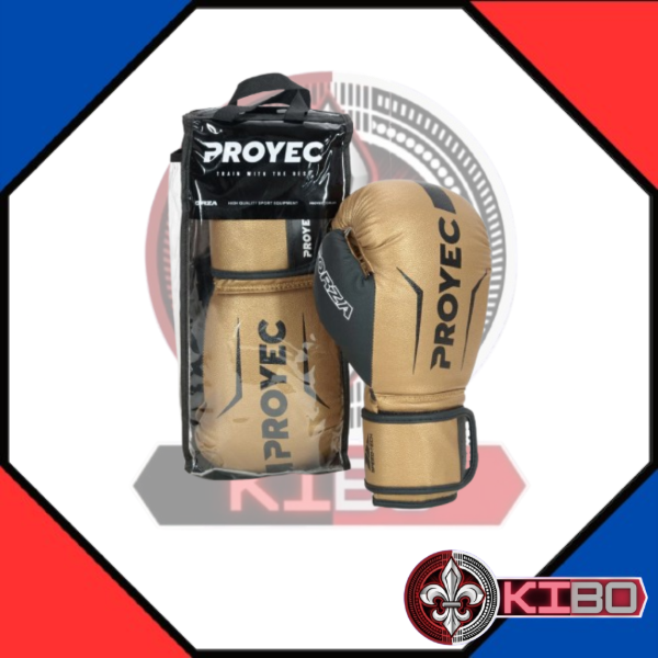 Producto - PROYEC FORZA - 4