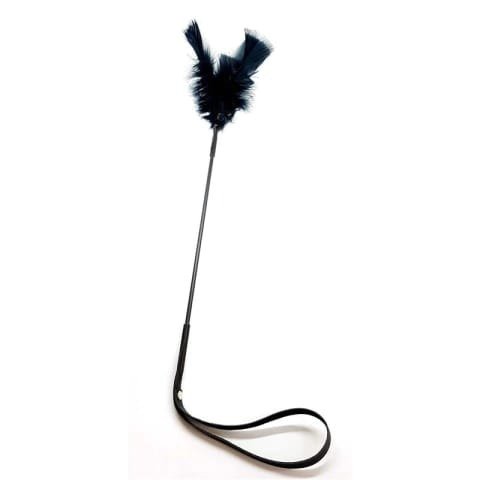 Producto - PLUMA