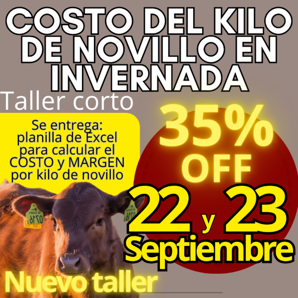 Producto - Taller corto: cálculo del costo del kilo de novillo - 0