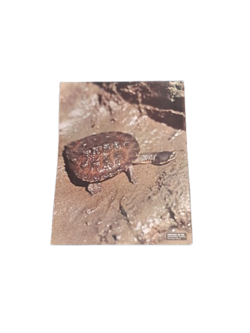 Miniatura de producto - 7