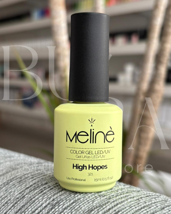 Producto - HIGH HOPES #321