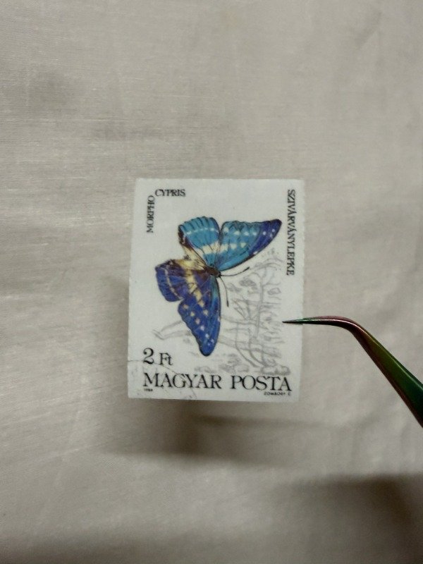 Producto - S209 - Mariposa Azul