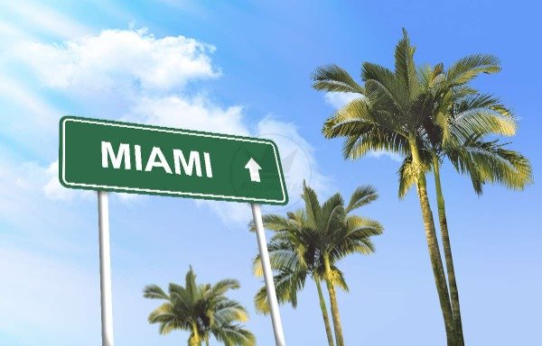 Producto - miami 004