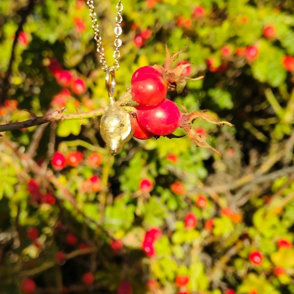 Producto - Rosa Mosqueta