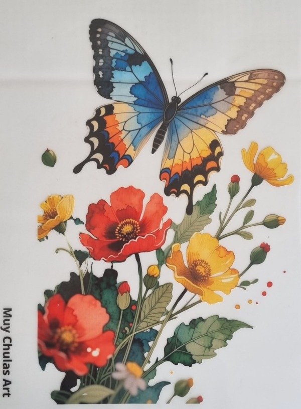 Producto - Mariposa6