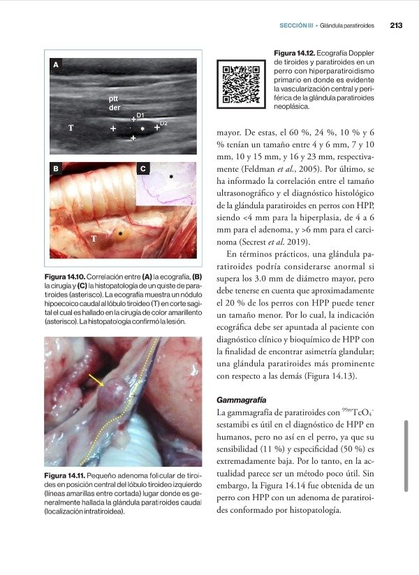 Producto - Teyssandier - Soler Arias: Manual Práctico de Endocrinología Clínica en el Perro - 8