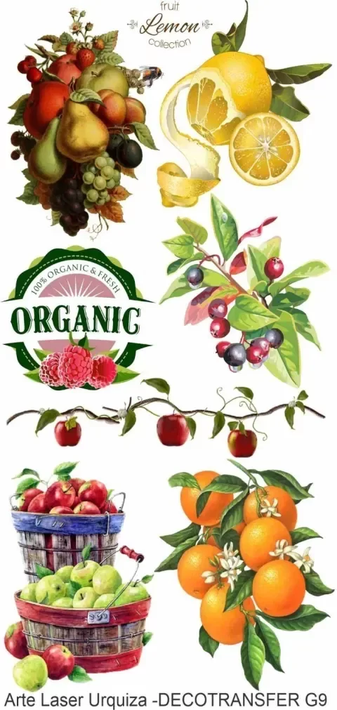 Producto - Transfer 10 x 20 cm Modelo G9 ( TEXTILES )