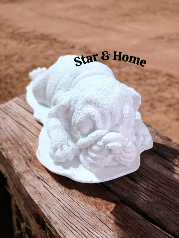 Producto - Perro fiaca