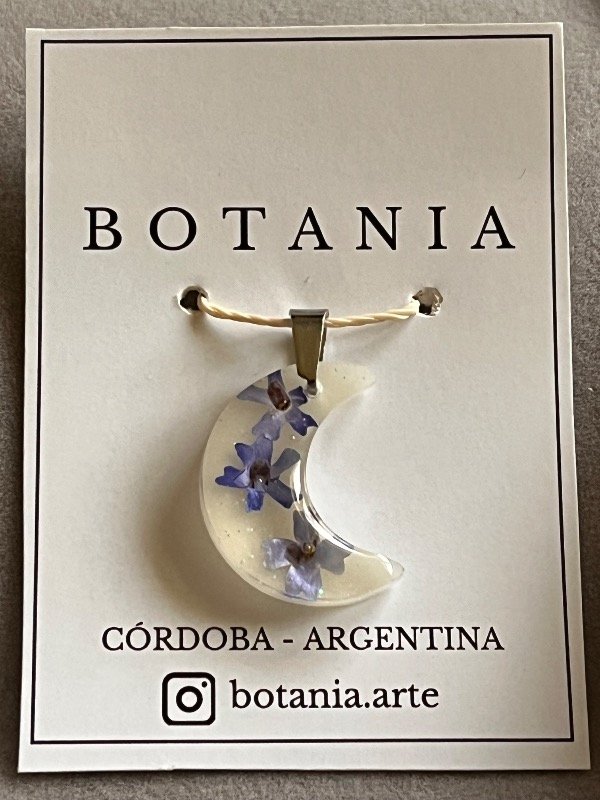Producto - Variedad 23 verbena - 0
