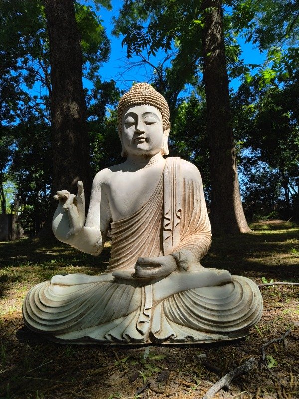 Producto - BUDA SHAKYAMUNI