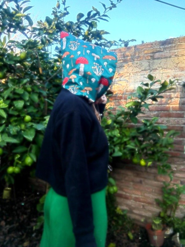 Producto - BuzO HOngui